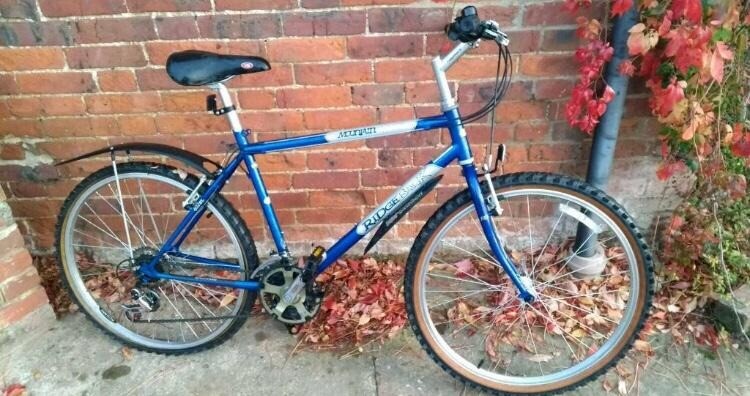 ridgeback mountain sport